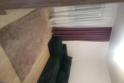 Apartament cu 2 camere decomandat în Roșu - 7