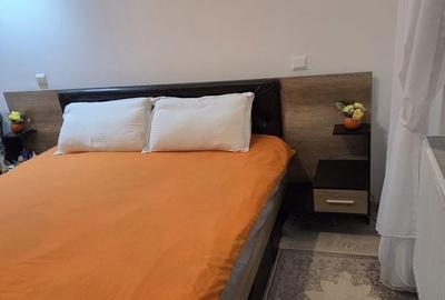 Vanzare Apartament 2 camere Bloc Nou Drumul Taberei - 5