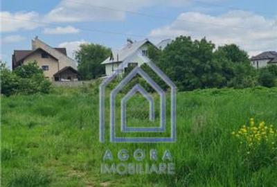 Teren , Sf Ilie Nou, zona Profi - 1