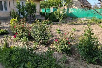 Casă cu 3 camere în Perieți - 2