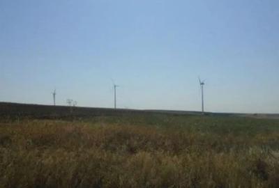 Teren de 5000 mp, în Vârlezi - 8