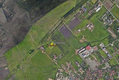 Teren agricol intravilan de 6400 mp, în Mehala - 3