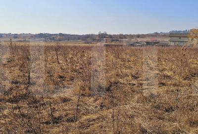 Teren de 3405 mp, în Ilieni - 4