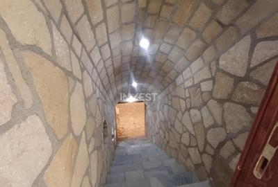 CASA PREMIUM MIROSLAVA , 250MP UTILI, 5 CAMERE, BECI, 2 GAR - 16