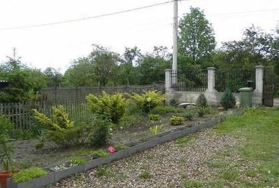 Inchiriere casa cu destinatie birouri in Buna Ziua, Cluj Napoca Inchiriere casa cu destinatie birouri in Buna Ziua, Cluj Napoca - 12