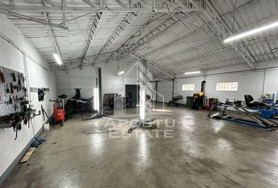 Service auto utilat, Cheveresul Mare, 20 km de Timisoara. - 3