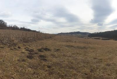 Spațiu comercial, în Sigmir - 1