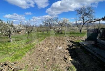 Casa cu 3 camere, 90 mp, 2 anexe gospodaresti si teren de 3000 mp, zona Crucisor - 11