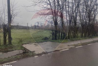 Spațiu comercial, în Cocora - 6