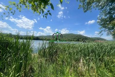 Teren de 3200 mp, în Dăești - 5