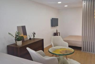 Inchiriere apartament 1 camera - 2