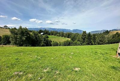 Teren de 4864 mp, în Drumul Carului - 13