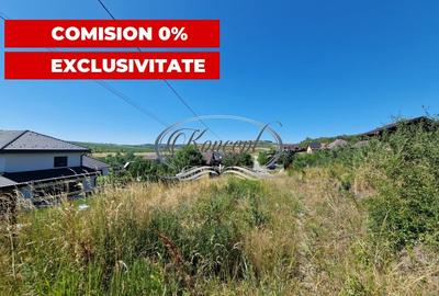 Teren cu proiect de casa in Chinteni - 6