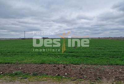 Teren Construcții intravilan de 500 mp, în Dragomirești-Vale - 3