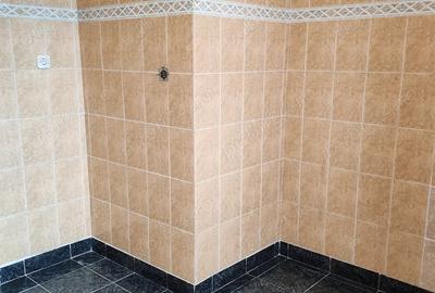 Apartament 3 camere de vanzare ?tefan cel Mare - 9
