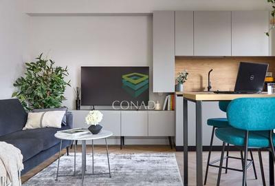 Studio dublu de inchiriat pet friendly Aviatiei - 4