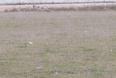 Spațiu comercial, în Bartolomeu - 4