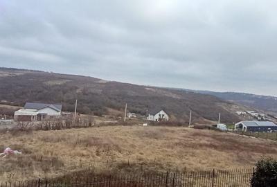 Casă cu 4 camere cu Teren 200 Mp în Săldăbagiu de Munte - 2