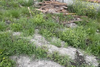 Casă cu Teren 600 Mp în Săcălaz - 4