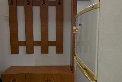 Apartament 2 camere de inchiriat Craiova - 8