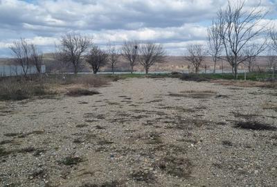Teren de 1000 mp, în Vrancea - 3