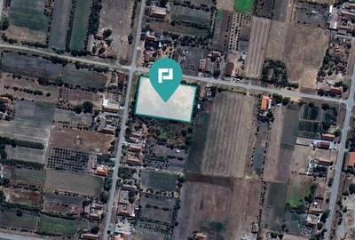 Teren intravilan 6115mp pentru investi?ii Firiteaz - 2