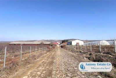 Teren de 675000 mp, în Marghita - 5