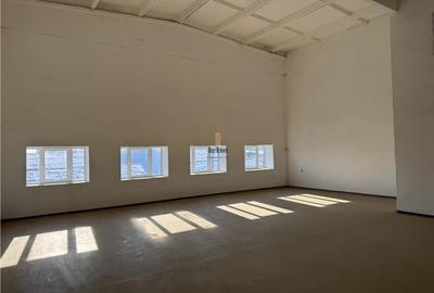 Spatiu Industrial - 600 mp - Productie - Depozitare - Distributie - Sibiu - 1