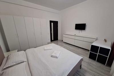 Apartament cu 2 camere decomandat în Exterior Vest - 5