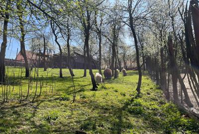 Spațiu comercial, în Poplaca - 2