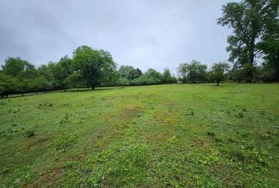 Evadare intr-un Paradis Privat: Proprietate Unica in Valenii de Munte - 14