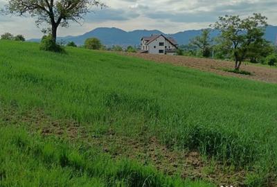 Teren de 4000 mp, în Satu Nou de Sus - 2