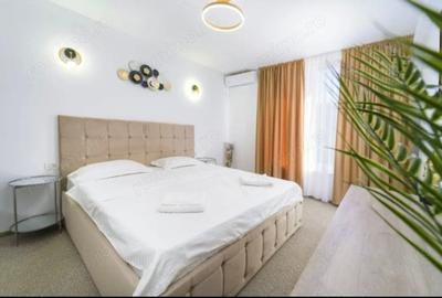 Hotel-pensiune in partea de Nord a Timisoarei - 5