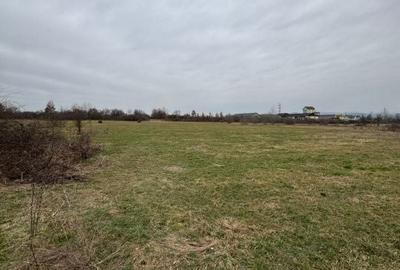 Teren de 7200 mp, în Recea - 3
