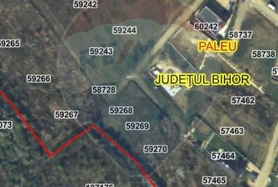 Teren Construcții intravilan de 1200 mp, în Săldăbagiu de Munte - 4