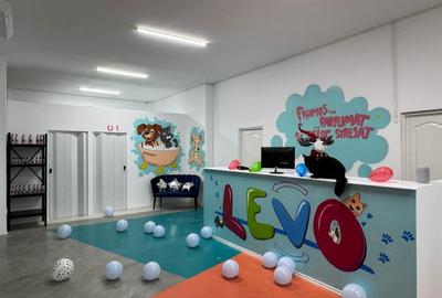 Stefan Cel Mare | Spatiu Comercial  | 189Mp | Bloc Consolidat - 2