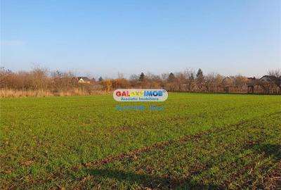 Teren intravilan Crevedia-Manastirea - 3