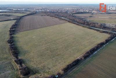 Teren Construcții intravilan de 2000 mp, în Moșnița Nouă - 6