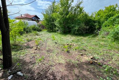 [OFERTĂ RARĂ] 562 mp + drum privat – lângă lac și pădure, Pasărea, Brănești - 3