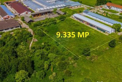 Teren de 9335 mp, în Teliu - 3