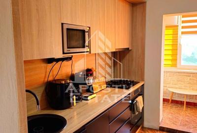 Apartament cu 2 camere decomandat, mobilat în Micălaca - 4