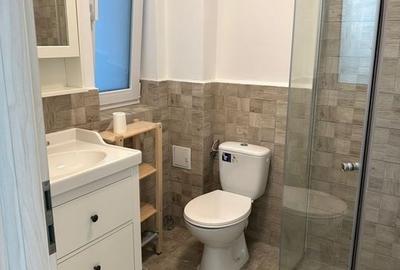 De inchiriat, vila individuala, P+1+M, Otopeni/Tunari - 5