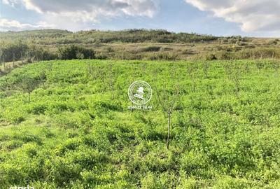 Spațiu comercial, în Mogoșești