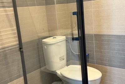 Apartament in zona Family Mall Miroslava, 100 ml fata de statia de autobuz - 30