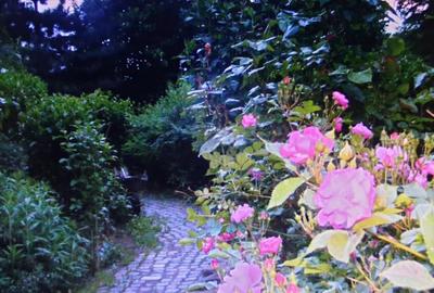 VILA INDIVIDUALA SAFTICA - 14