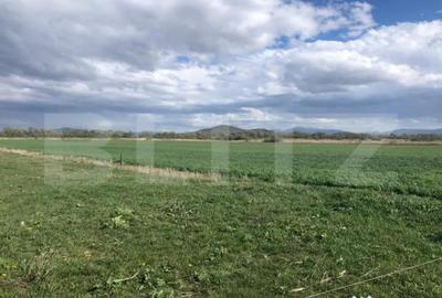 Teren de 50000 mp, în Central - 2