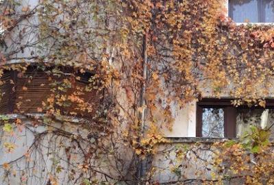 Inchiriere spatiu de birou/activitate profesionala/Bd. Dacia - 2