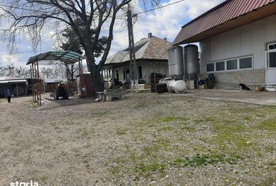 Spațiu comercial, de 762.5 mp, în Vârteșcoiu - 14