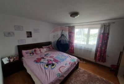 Casa cu 7 camere de vanzare in apropiere de Focsani Casa cu 7 camere de vanzare in apropiere de Focsani - 15