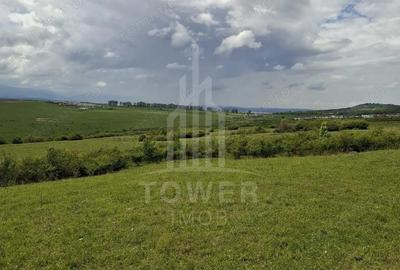 Teren de 11500 mp, în Daia - 5